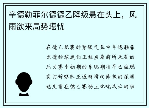 辛德勒菲尔德德乙降级悬在头上，风雨欲来局势堪忧